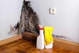 Best Dehumidification Services  in Chicago Ridge, IL